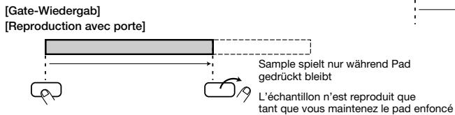 ZOOM ST224 - Deutsch - 3