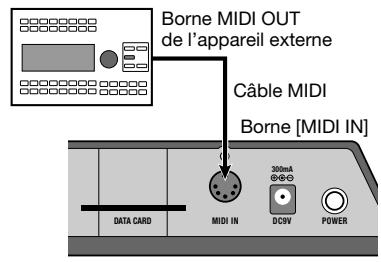 ZOOM ST224 - Connexions MIDI - 1