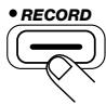 ZOOM ST224 - Drucken Sie die [RECORD]-Taste nochmals. - 1