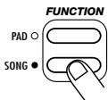 ZOOM ST224 - Drucken Sie die [SONG FUNCTION]-Taste nochmals. - 5