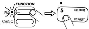 ZOOM ST224 - Um den Endpunkt zu verändern, drücken Sie die [PAD FUNCTION]-Taste und dann Pad 5 (END POINT). - 1