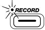 ZOOM ST224 - Appuyez sur la touche [RECORD]. - 1