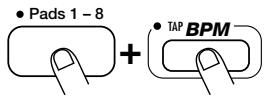 ZOOM ST224 - Halten Sie das Pad gedrückt, dessen BPM. Sie ändern wollen, und drucken Sie die [BPM]-Taste. - 1