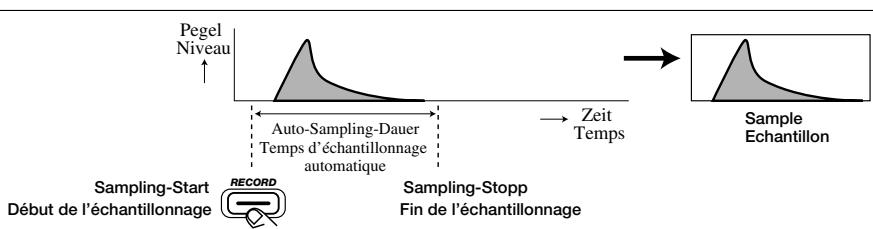 ZOOM ST224 - Deutsch - 2