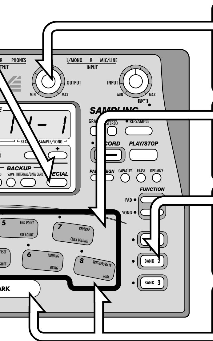 ZOOM ST224 - [Préparations] - 2