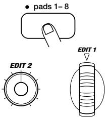 ZOOM ST224 - Halten Sie die [EFFECT PAD ENABLE]-Taste gedrückt und verwenden Sie die [BANK 1] - [BANK 3]-Tasten und die Pads 1 - 8, um das Pad zu wahlen, auf das Sie den Effekt anwenden wollen. (Es ist auch möglich, mehrere Pads zu wahlen.) - 7