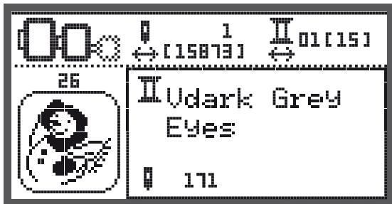 BERNINA CHICAGO 7 - Début de la broderie - 3