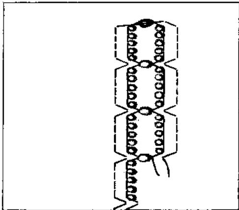 BERNINA 707 - Double hemstitch needle - 3