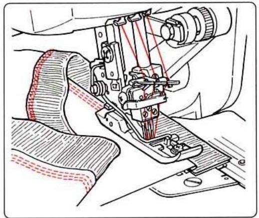 BERNINA 1300DC - Entourages - 1