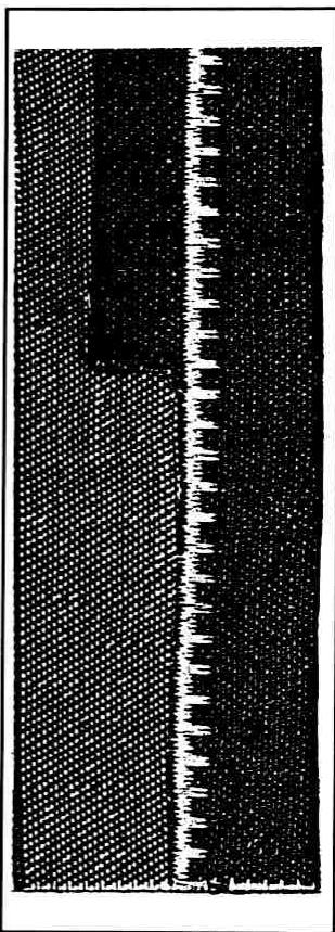 BERNINA 801 SPORT - Visible hem with stretch stitch - 3