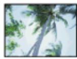 EPSON EXPRESSION PHOTO HD XP-950 - Pour mac OS x - 4