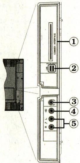 WALTHAM WT 32842 B - Affichage des branchements - connecteurs latéraux - 1