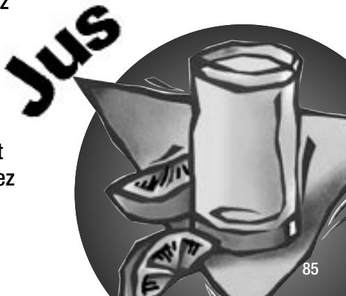 MAGIC BULLET - Jus d'ananas frais - 6