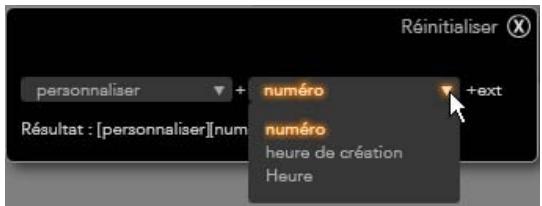 PINNACLE STUDIO 14 - Le panneau du nom de fichier - 4