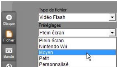 PINNACLE STUDIO 14 - Flash Video - 1
