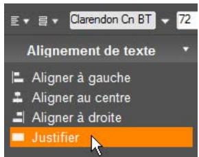 PINNACLE STUDIO 14 - Alignment de texte - 1