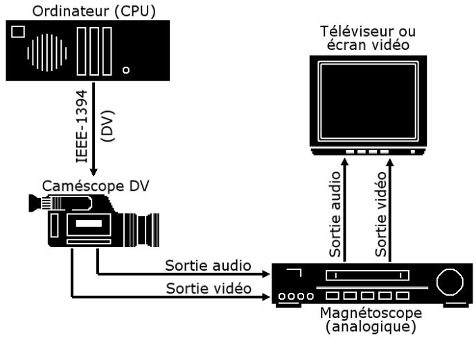 PINNACLE STUDIO 14 - Connexion d'un téléviseur ou d'un écran video - 1