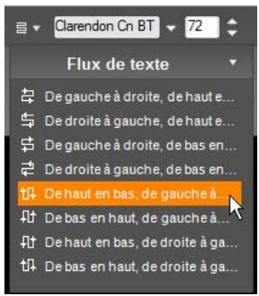 PINNACLE STUDIO 14 - Flux de texte - 1
