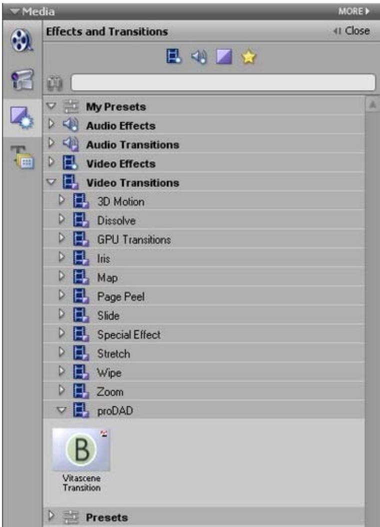 PINNACLE VITASCENE - AdobePremiereElements/Plugincommetransition - 1