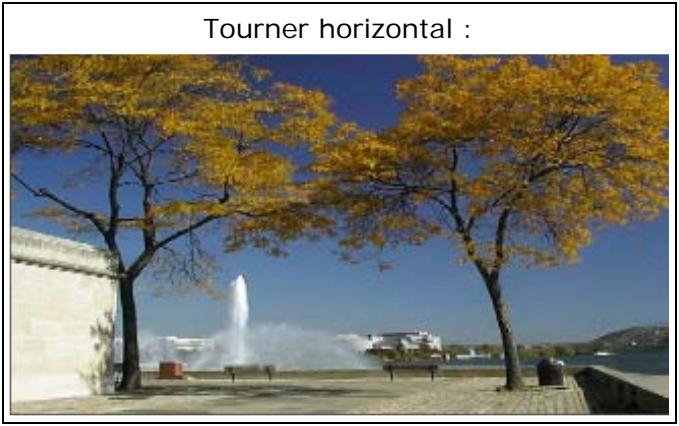 PINNACLE VITASCENE - Tourner - 2