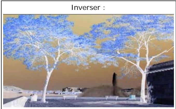 PINNACLE VITASCENE - Inverser - 1