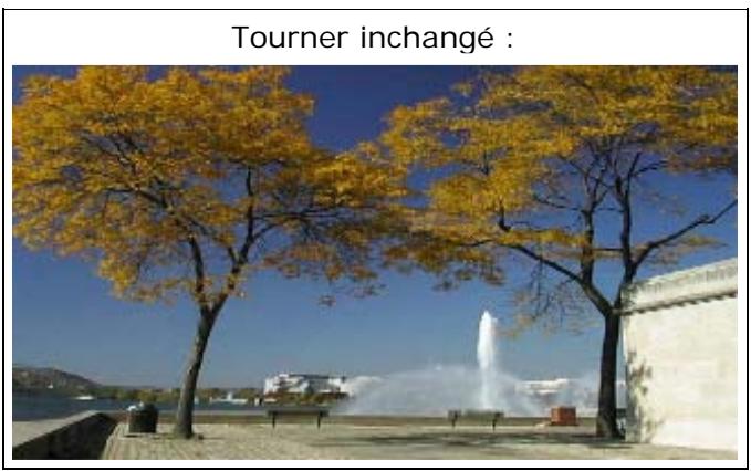 PINNACLE VITASCENE - Tourner - 1