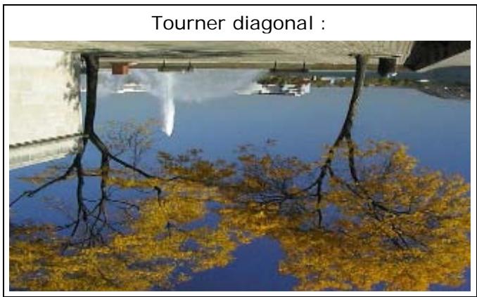 PINNACLE VITASCENE - Tourner - 4