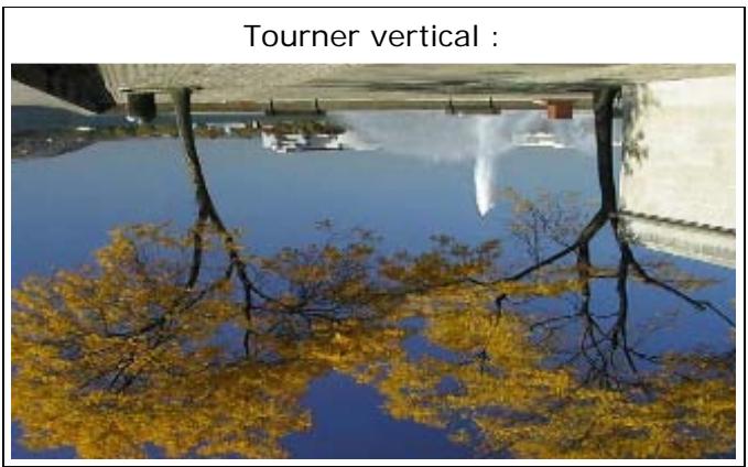 PINNACLE VITASCENE - Tourner - 3
