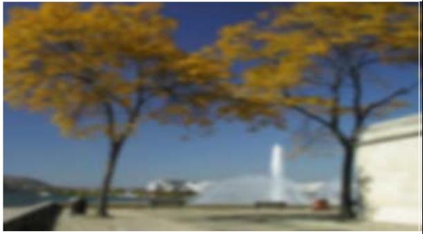 PINNACLE VITASCENE - Blur (Flou) - 4