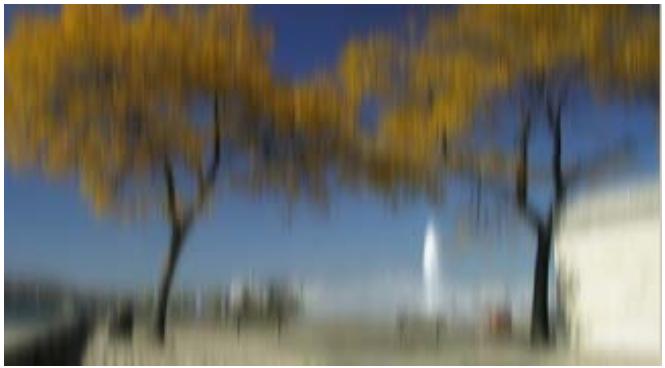 PINNACLE VITASCENE - Flou gaussian horizontal - 2