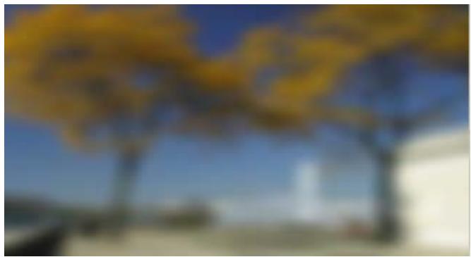 PINNACLE VITASCENE - Flou fréquentiel - 2