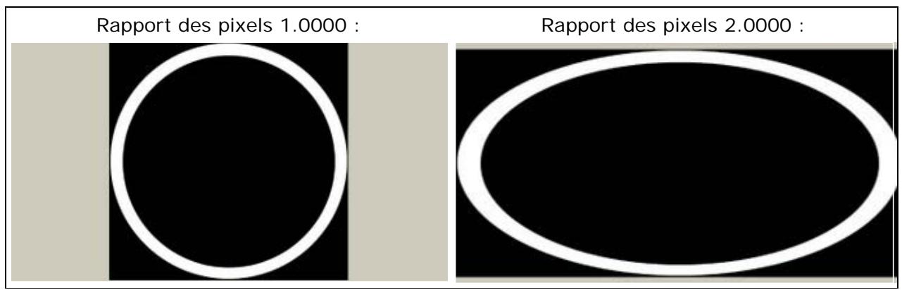 PINNACLE VITASCENE - Rapport des pixels (Aspect ratio) - 1