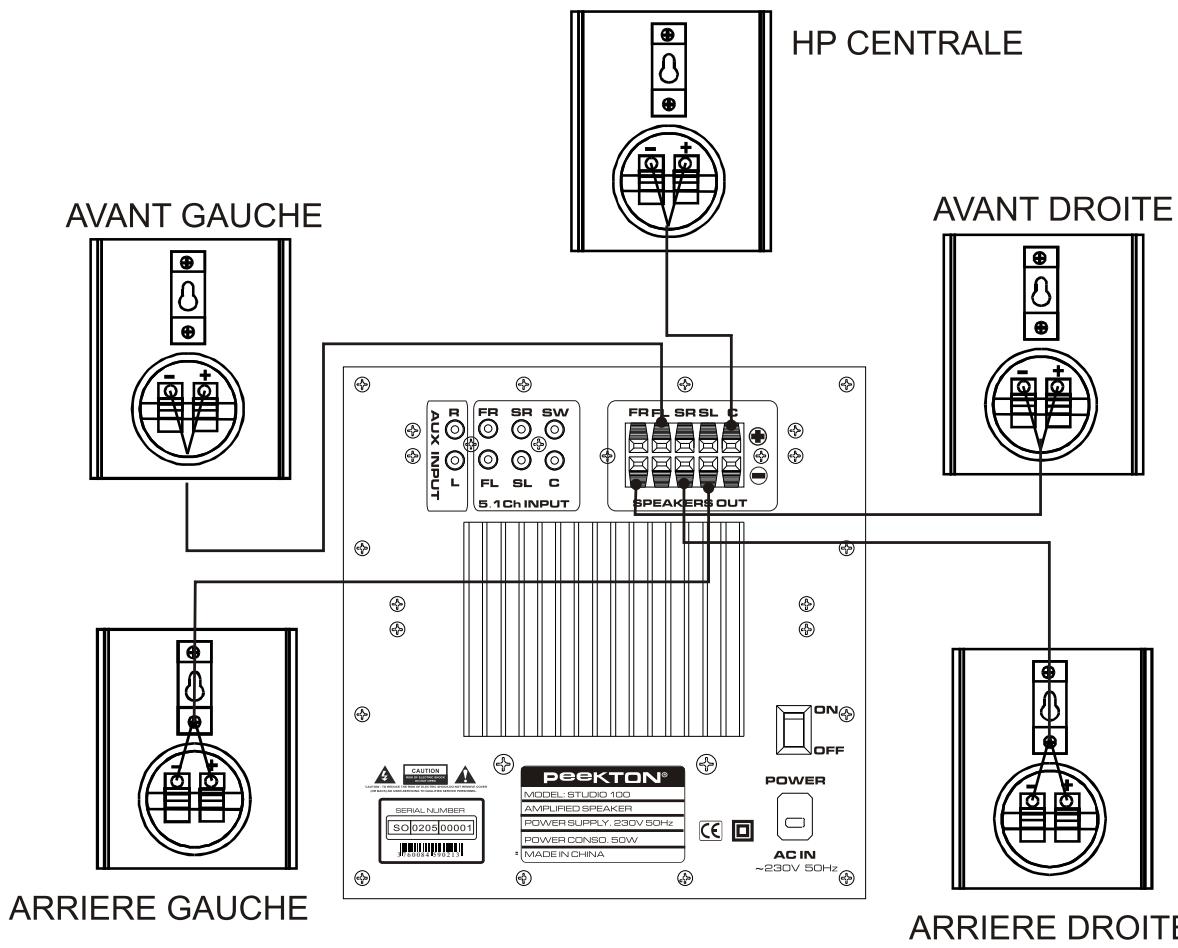 PEEKTON STUDIO100 - Connexion des hauts-parleur au subwoofer - 1