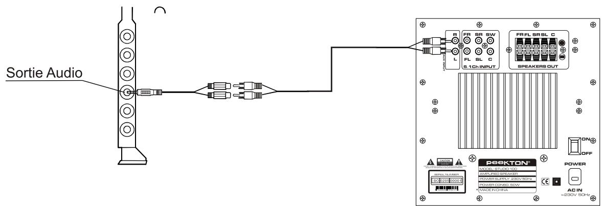 PEEKTON STUDIO100 - Connexion d'une carte son PC (Stéreo) - 1
