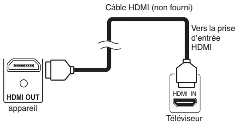 FUNAI WD6D-M101 - Branchement HDMI - 1