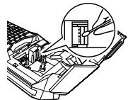 EPSON LABELWORKS LW-Z700 - Tête d'impression - 1