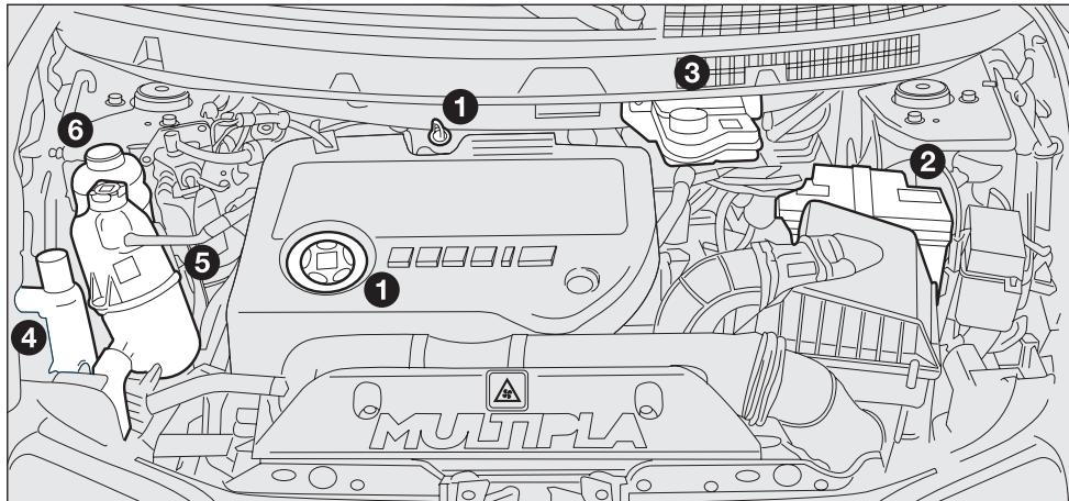 FIAT MULTIPLA 2013 - VERIFICATION DES NIVEAUX - 2