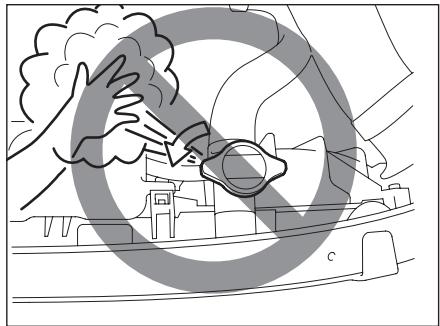 FIAT SEDICI 2011 - ATTENTION - 1