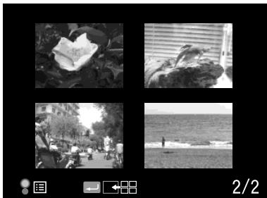 EPSON RD1 - 4-photo display - 1