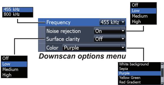 LOWRANCE ELITE 7 HDI - Downscan options - 1