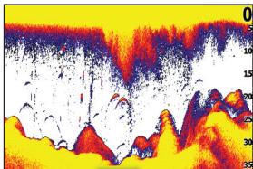 LOWRANCE ELITE 7 HDI - Conventional sonar and Downscan - 1