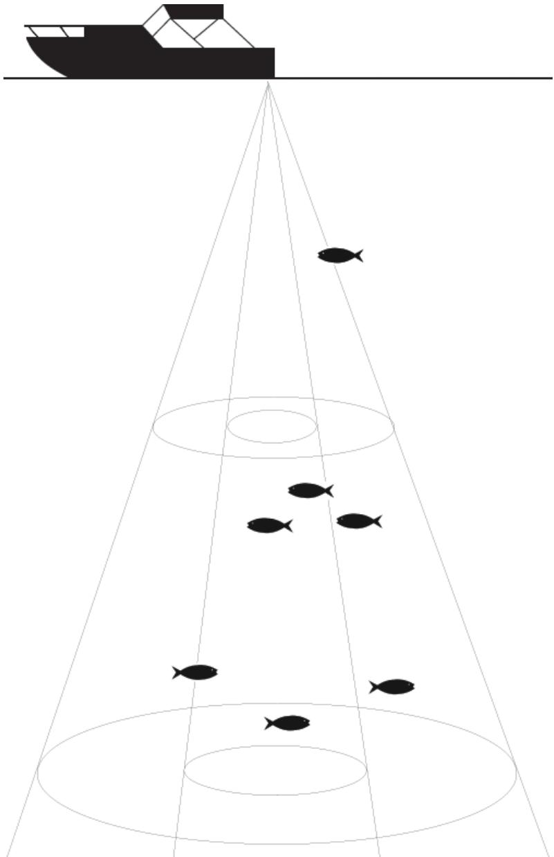 LOWRANCE HDS - Maintenance du transducteur - 1
