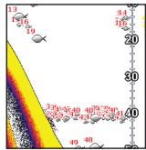 LOWRANCE HOOK 7 - Couleur - 2