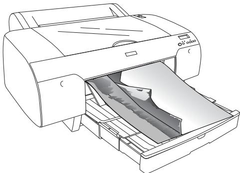 EPSON STYLUS PRO 4450, STYLUS PRO 4880 - Impression de bannières sur papier rouleau - 1