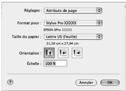 EPSON STYLUS PRO 4450, STYLUS PRO 4880 - Accès à la zone de dialogue Format d'impression - 2