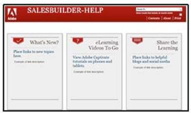 ADOBE ROBOHELP 10 - Chapitre 1 : Prise en main - 3