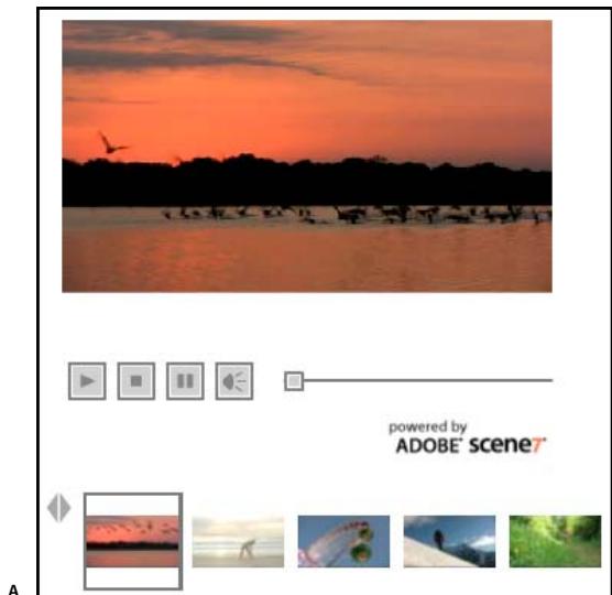 ADOBE SCENE7 4.4 - Types de visionneuses deVIDEOS - 1