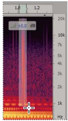 ADOBE SOUNDBOOTH CS4 - Identification visuelle du bruit - 2