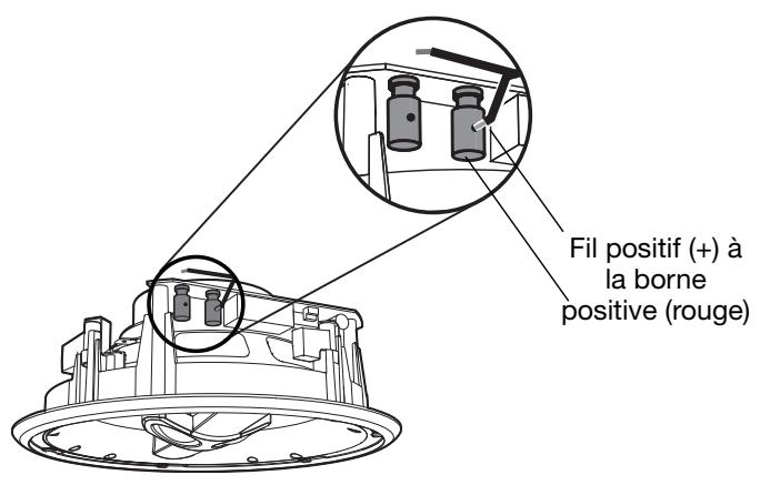 BOSE VIRTUALLY INVISIBLE 791 - Connexion de l'enceinte - 1