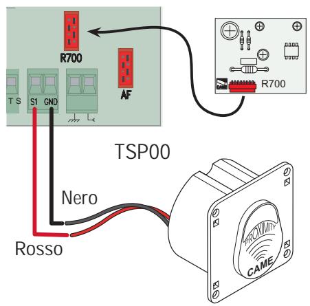 CAME ZL80 - Connexions électriques - 7
